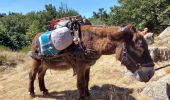 Tocht Stappen Arrigas - de Arrigas au Mont saint Guiral - Photo 13