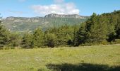 Tour Wandern La Motte-Chalancon - LA MOTTE CHALANCON - LE PLATEAU DE LA CHAU - Photo 17