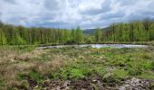 Trail Walking Libin - Redu 110523 - Photo 9