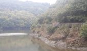 Tocht Stappen Vianden - vianden . stolzemmbour  - Photo 1