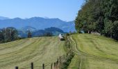 Tour Zu Fuß Garsten - Hufeisen Rundweg - Photo 7