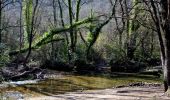 Tour Wandern Tourves - SityTrail - Tourves- Le Saut du Cabri - Les gorges du Caramy - Photo 3