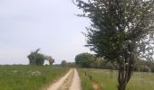 Trail Walking Anthisnes - Hody . drive d Anthisnes . carrière . Targnon . Hestreux . Fond de Sart . Hody - Photo 19