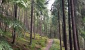 Tour Wandern Malmedy - Malmedy (Bévercé - Ferme Libert- Mont - Chôdes) - Photo 16