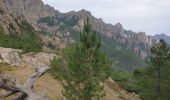 Trail Walking Quenza - les aiguilles de Bavella - Photo 1