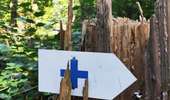 Trail Walking Hotton - Promenade vers la porte Aïve  - Photo 1