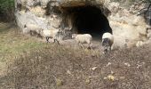 Trail Walking Bassenge - Fort Eben-emael 11 Km  - Photo 9