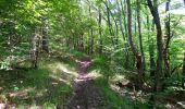 Trail Walking Ferrières-Saint-Mary - Cantal - Ferrières-Saint-Mary - Gorges de la Bouzaire - 7.7km 350m 2h50 - 2019 07 01 - Photo 3