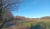 Trail Walking Theux - la reid . charmille . vertbuisson / retour en boucle - Photo 8