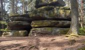 Percorso  Barr - Barr grotte du druide mont St Odile  - Photo 4