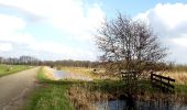 Trail On foot Steenwijkerland - WNW WaterReijk - De Kiersche Weide - gele route - Photo 8