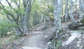 Trail Walking La Chaudière - Le tour des Trois Becs (à l'envers) - Photo 7
