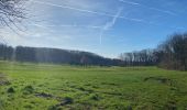 Trail Walking Holsbeek - Autour de Roeselberg sur le GR 512 - Photo 8