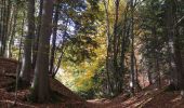 Tocht Stappen Entremont-le-Vieux - Epernay désert d'Entremont  - Photo 2