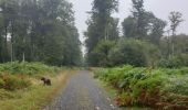Trail Walking Montfiquet - cerisy la forêt 5km - Photo 9
