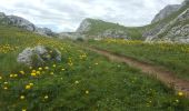 Trail Walking Villard-de-Lans - Pas de L'OEILLE, circuit au départ des Glovettes (Villard de Lans) - Photo 12