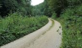 Tour Zu Fuß Gomadingen - Querweg des Schäbischen Albvereins (blaue Raute) - Photo 1