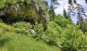 Trail On foot Pottenstein - Rundweg Rackersberg Arnleithen - Photo 10