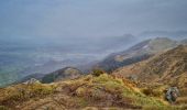 Trail Walking Bilhères - Pic des escurets 1440m en Aller-Retour - Photo 1