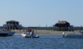 Randonnée Bateau à moteur Arcachon - Tour de l'île aux Oiseaux - Photo 3