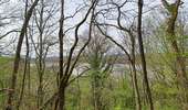 Trail Walking Chimay - tour du lac de virelle - Photo 7