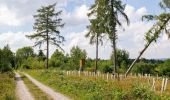 Tocht Te voet Beverungen - Galgenberg-Drenke-Selsberg - Photo 3