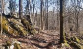 Randonnée Marche Neupré - trek GR57 étape 2 : roche aux faucons (Esneux) . Comblain-au-Pont  - Photo 18