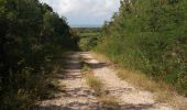 Tocht Stappen Saint-François - Anse à la Baie - Morne Caraïbe - Photo 4