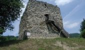 Tour Zu Fuß Buch am Irchel - Heerenbänkli Irchelturm - Rorbas - Photo 4