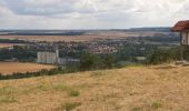 Tour Mountainbike Viéville - De Bologne à Saucourt-sur-Rognon - Photo 2