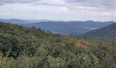 Tour Wandern Signes - 2021-11-11 Siou Blanc Signes - Photo 2