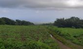 Tour Wandern Basse-Pointe - Boucle Habitations  Gradis et  Hackaert - Photo 3