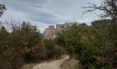 Trail Walking Brissac - brissac, notre Dame du suc - Photo 3