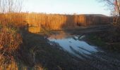 Tour Wandern Quevillon - 20211218-Quevillon  - Photo 2