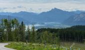 Tour Wandern Thalgau - De Wasenmoos à la Chapelle du Kolomansberg - Photo 2