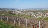 Trail Walking Château-Thierry - D'une rive à l'autre par Azy - Photo 1