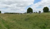 Randonnée A pied Unknown - Avebury Archaeology Walk - Photo 9