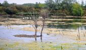 Trail Walking Dampmart - Boucle 23 km Dampmart Annet sur Marne Base de Jabeline - Photo 4