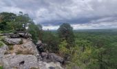 Randonnée Marche Larchant - Larchant la Féérique  - Photo 7