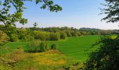 Tocht Stappen Nijvel - Balade à Monstreux - Nivelles - Photo 14