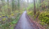 Tocht Stappen Dinant - mon tour de la citadelle  - Photo 19