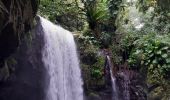 Randonnée Marche Vieux-Habitants - vallée et cascade Beaugendre - Photo 2