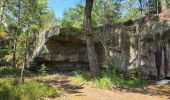 Tour Wandern Milly-la-Forêt - Milly-la-Forêt - Forêt domaniale des Trois pignons - Curiosités  - Photo 16