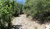 Tocht Stappen Châtillon-en-Diois - Les Cabanes de Châtillon (Glandasse) - Photo 9