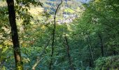 Trail Walking Bouillon - Rochehaut 051024 - Photo 15