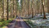 Tour Wandern Gedinne - Balade à Malvoisin - Gedinne - Photo 10