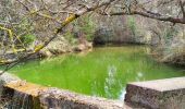 Excursión Senderismo Saint-Zacharie - NSB2-SourceHuveaune-301024 - Photo 4