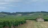 Excursión Senderismo Bouteville - Bouteville : Sentier des Chaumes Boissieres - Photo 7