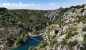 Tocht Stappen Beaurecueil - Sainte Victoire : Barrages de Bimont et Zola - Photo 13