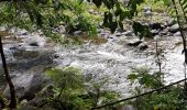 Tour Wandern Petit-Bourg - Maison de la foret et trace des  ruisseaux - Photo 1